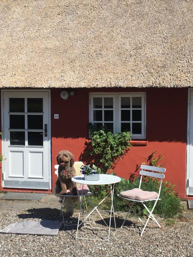 Poppelgaarden Romo B&B Rømø Kirkeby Exterior foto