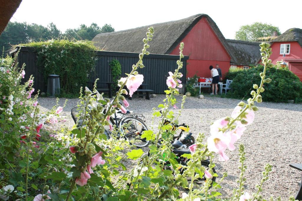 Poppelgaarden Romo B&B Rømø Kirkeby Exterior foto